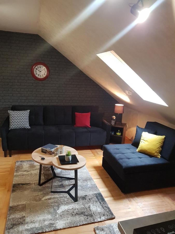 Kraljevi Cardaci, Apartman 7/53 コパオニク エクステリア 写真