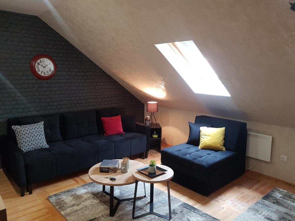 Kraljevi Cardaci, Apartman 7/53 コパオニク エクステリア 写真