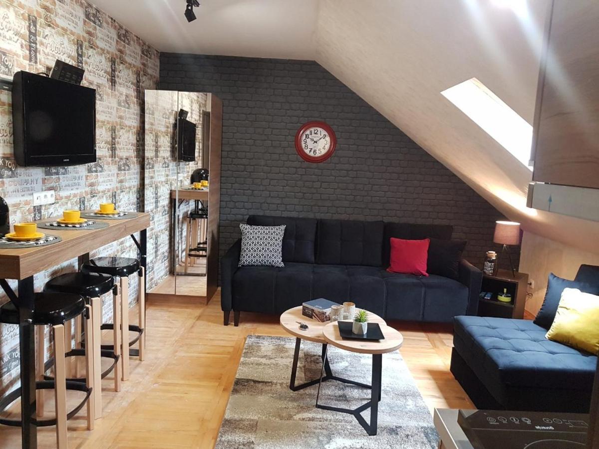 Kraljevi Cardaci, Apartman 7/53 コパオニク エクステリア 写真